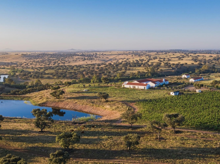 Herdade da Malhadinha Nova hotel Alentejo