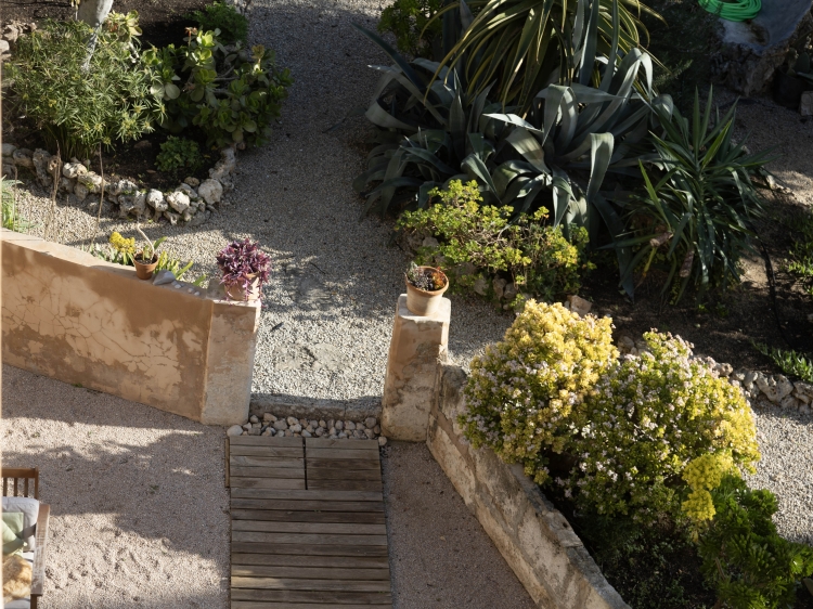 Jardín del Hotel Casa Mona. Vacaciones en familia. Retiro de yoga y bienestar. Alojamientos en Mallorca, pueblo de Llubí. 