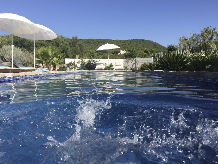 La piscina tiene 13 m de longitud, rodeada de plantas y grandes olivos silvestres. La colina pertenece al bosque natural de pinos, y la playa está a 1500 m a pie.