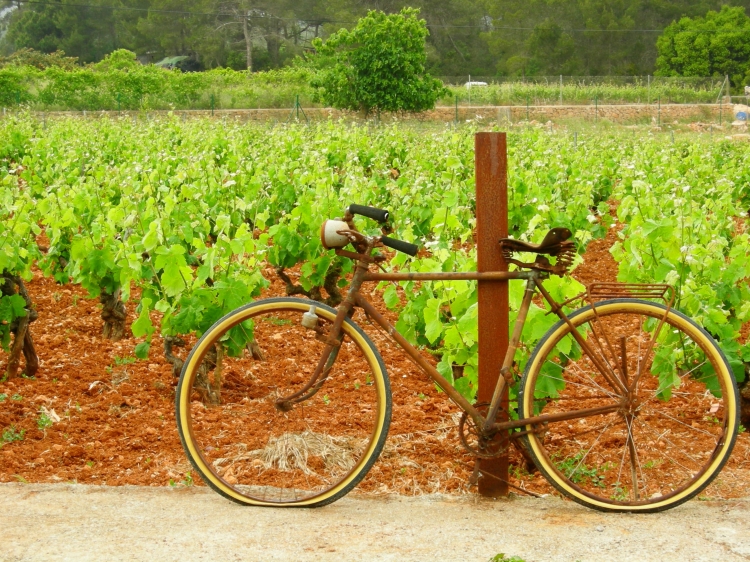 Agroturismo Sa Vinya den Palerm Ibiza