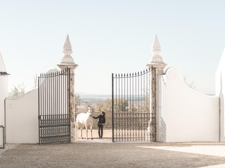 Torre de Palma Wine Hotel boutique alentejo 