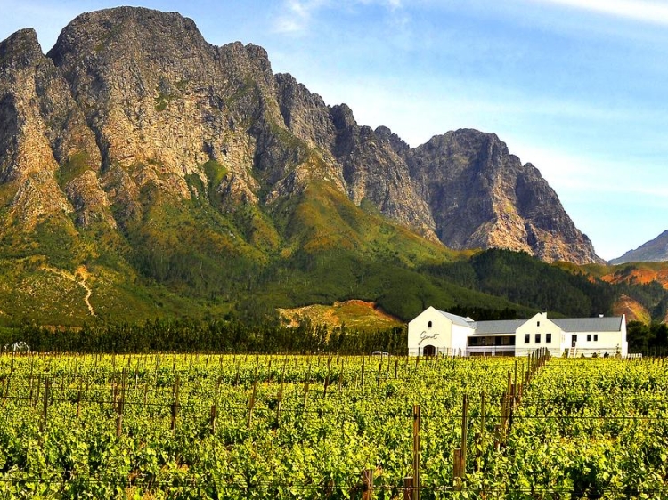 Holden Manz Country House Cape Winelands Sudáfrica Hotel de Lujo Viñedo Bodega