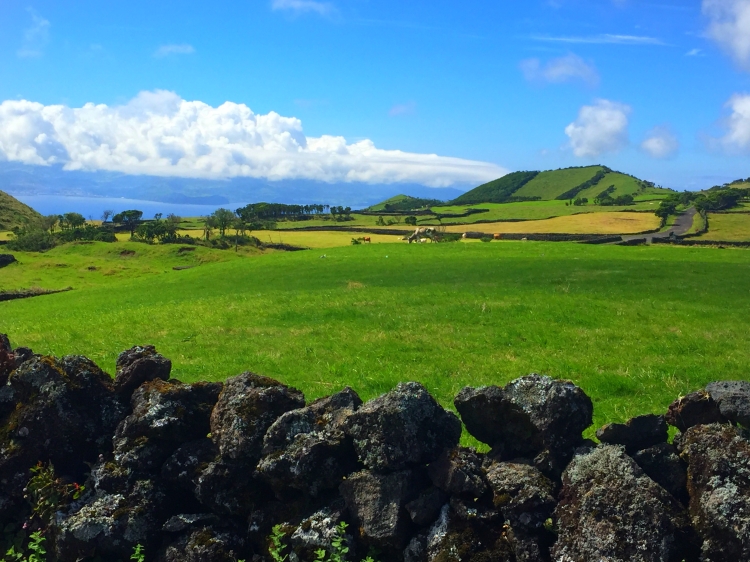 Casa Con Encanto Monte Branco Azores Isla de Pico