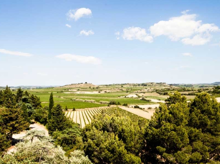 chateau les carrasses quarante vista natura