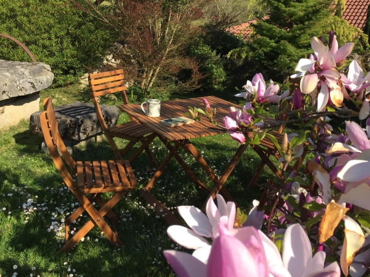 Loely spring in the garden - Magnolia house