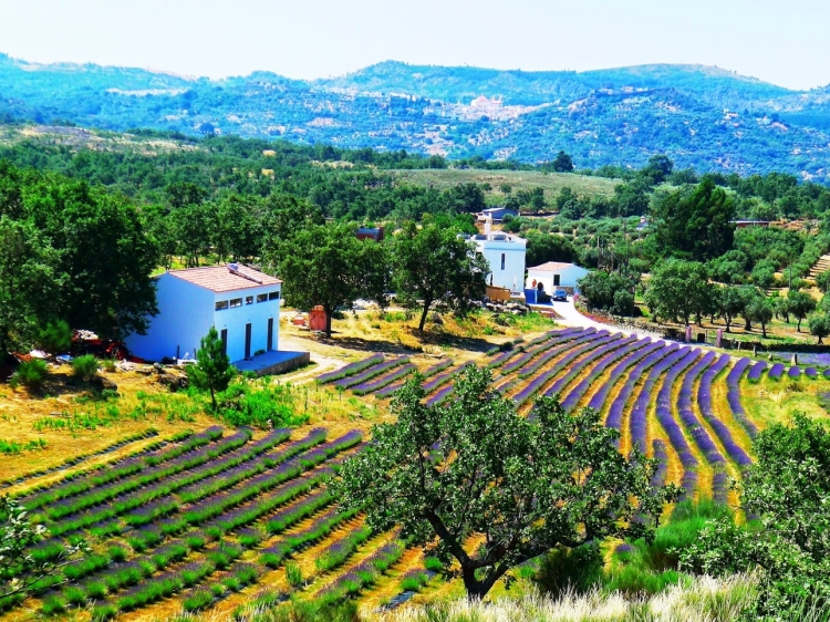 Quinta das LAvandas Castelo de Vide Hotel alto alentejo con encanto