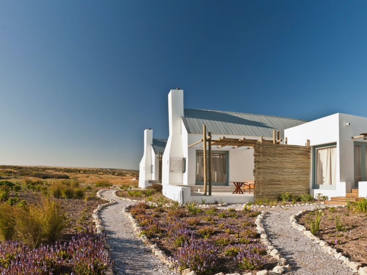 Strandloper Ocean Boutique Hotel Paternoster hotels / West Coast / South Africa