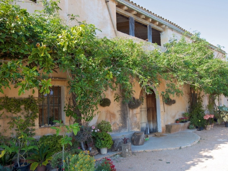 Son Josep de Baix mejores apartamentos en Mallorca