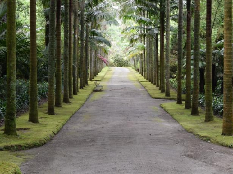 World's Nests Furnas Pods Village con encanto