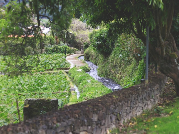 World's Nests Furnas Pods Village con encanto