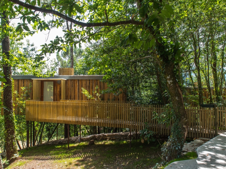 Cabañitas del Bosque Outes casas del árbol 