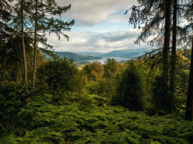Stay at Linthwaite House Bowness-on-Windermere Cumbria and the Lake District aire fresco bosque árboles