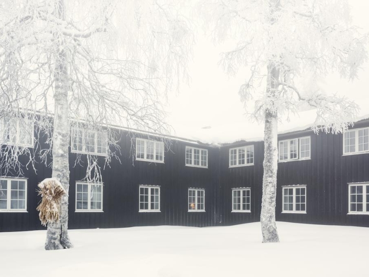 Escapada Lysebu Oslo Noruega  País de las maravillas de invierno esquiar naturaleza paisaje