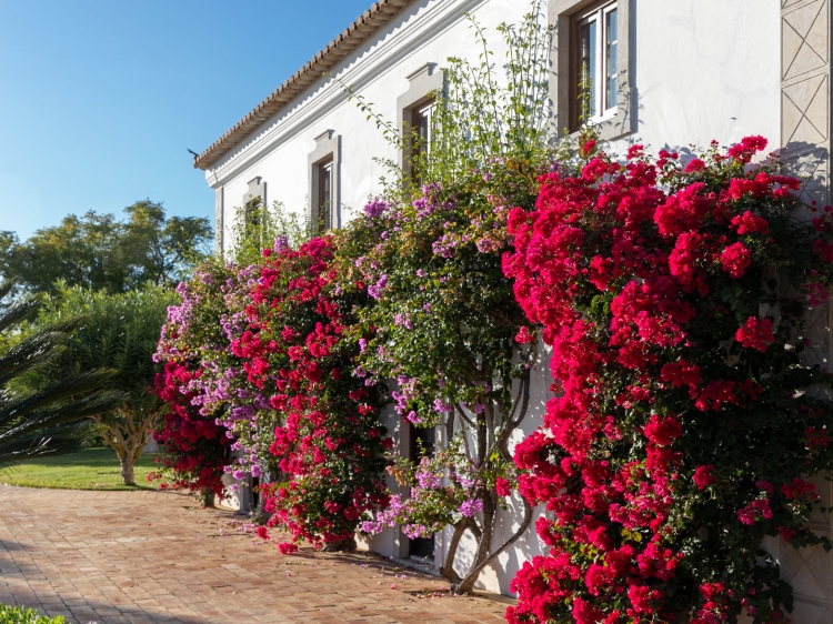 Escapada Quinta do Guine Algarve Portugal hotel con encanto barato lujoso boutique con caracter pequeño