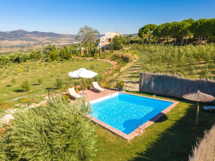 Piscina rodeada de olivares con vistas impresionantes a la Sierra de Grazalema