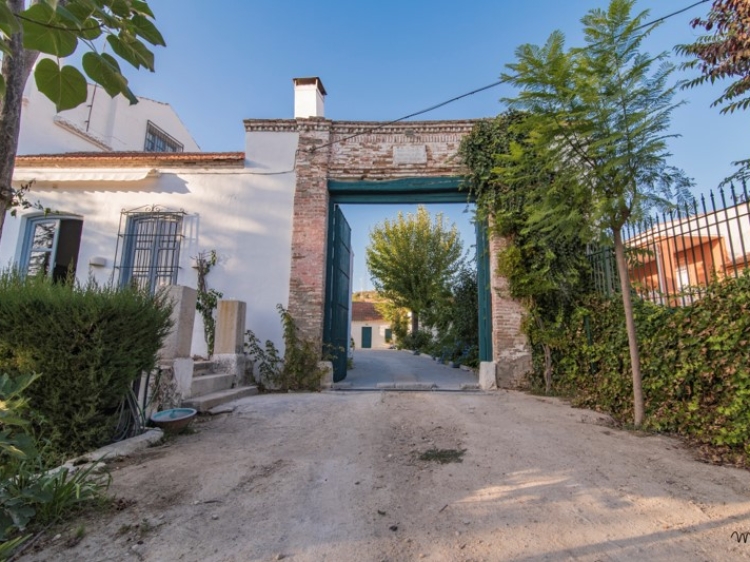 Entrada a patio andaluz