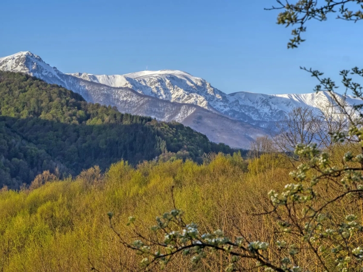 El impresionante paisaje del Parque Nacional de los Balcanes Centrales cuenta con imponentes picos nevados y vastos bosques verdes. Esta joya natural es ideal para practicar senderismo, observar la vida silvestre y disfrutar de una belleza intacta. Escápese al patrimonio natural de Bulgaria.