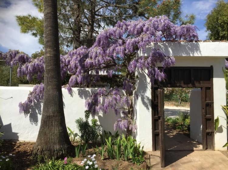 Roca Verde bed and breakfast en Málaga bonito y barato