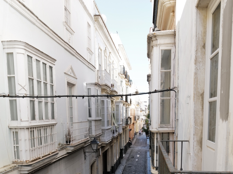 hermosa casa Casa Palacio las Marias mejor villa en cadiz para alquilar centro