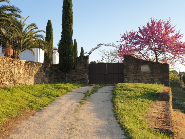 lagar el altozano casa rural con encanto españa