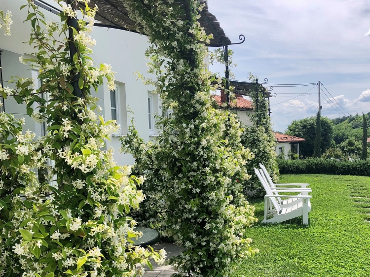 Jardín del hotel, Peterc Vineyard Estate, SecretPlaces
