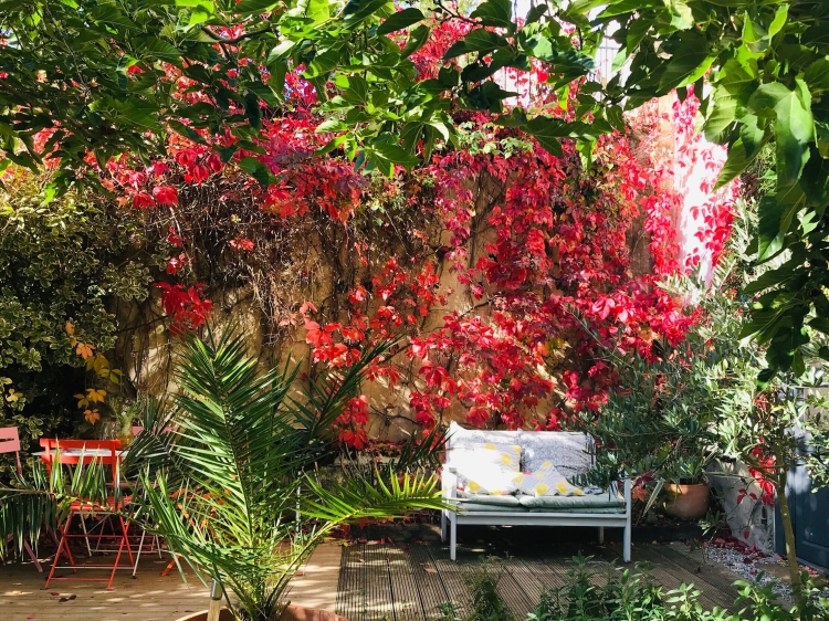 Domaine de Capiès Appartements zu vermieten GÎTES zu vermieten in Pomy Occitania