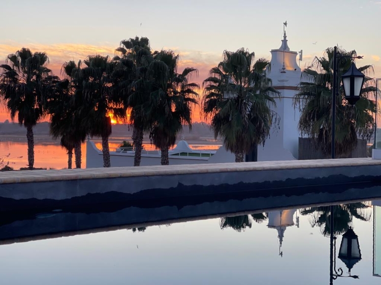 Piscina  Hotel La Malvasía boutique hotel con encanto en rocio huelva