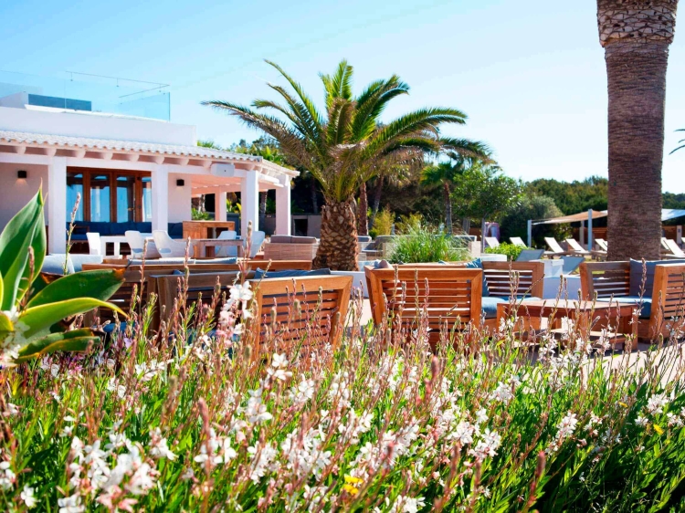 Gecko Hotel & Beach Club, un pequeño hotel de lujo en Formentera Ibiza
