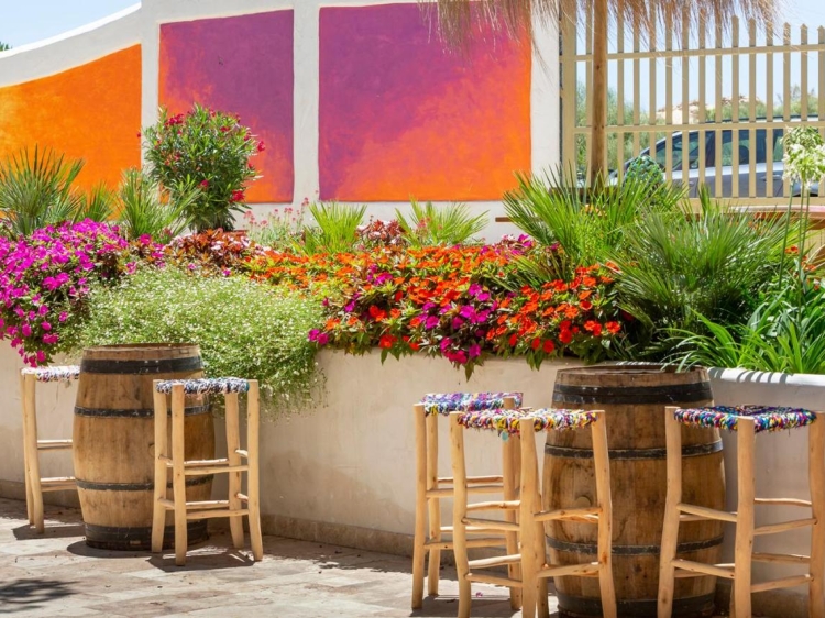 Dunas Luxury Beach Resort Tarifa Terrace