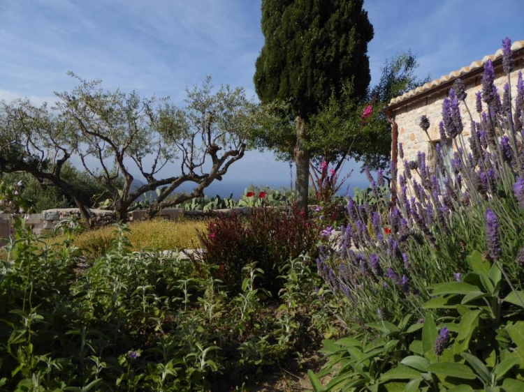 Jardin Antares Mani Omales Secretplaces   