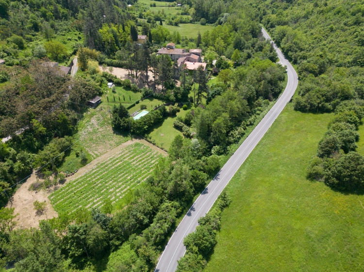 Casa Palmira B&B en la Toscana: alojamiento económico que acepta perros.