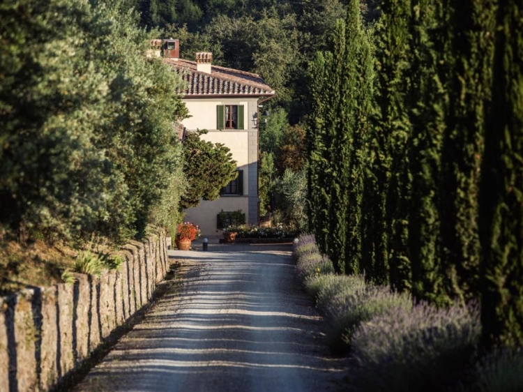 Dievole Wine Resort hotel rural toscana