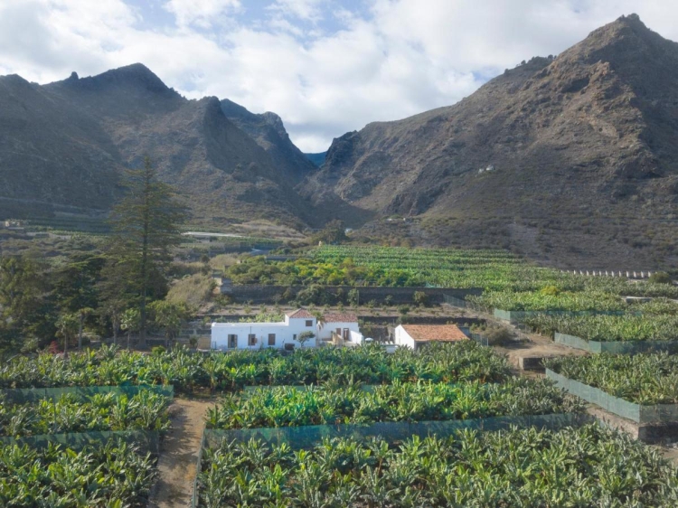 Hacienda Camino de la Cruzada holiday villas Tenerife