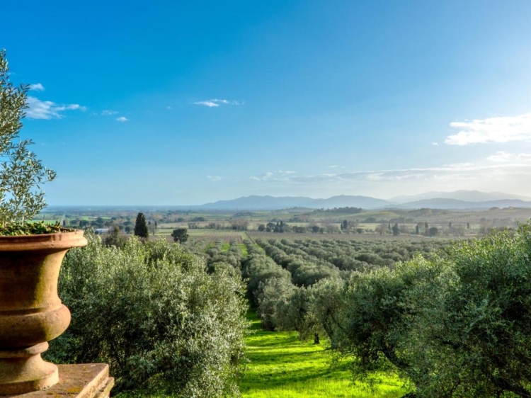 Hotel Pieve di Caminino, B&B elegante y con estilo en la Toscana, en el estilo boho