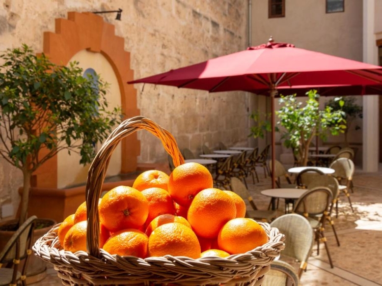 HOTEL CAN CIRERA