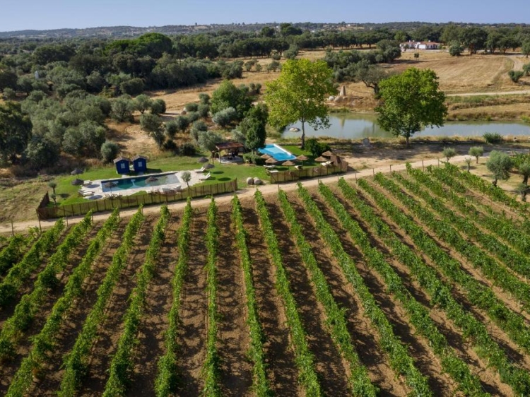 Casas da Quinta de Cima – Villas y B&B con encanto cerca de Évora, con piscina y rutas a caballo en el corazón del Alentejo.