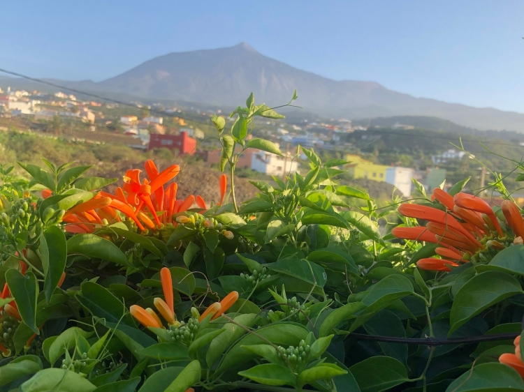 Casita Aquavista,villa con encanto, Icod de los Vinos, Tenerife