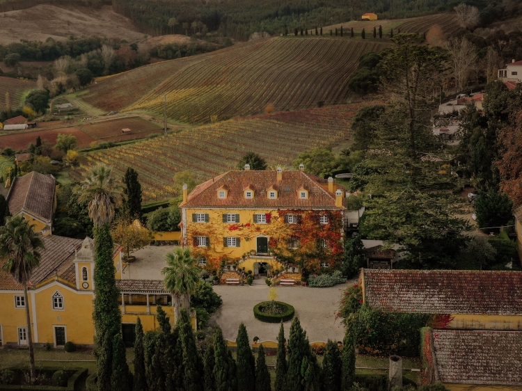 quinta de sant'ana mejor enoturismo en portugal hotel con encanto cerca de ericeira