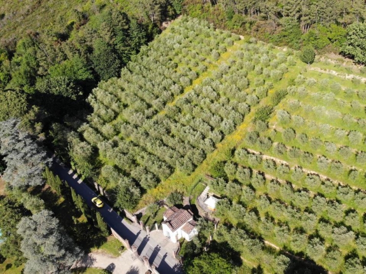 Albergo Villa Marta mejor hotel boutique de lujo en lucca Toscana con encanto