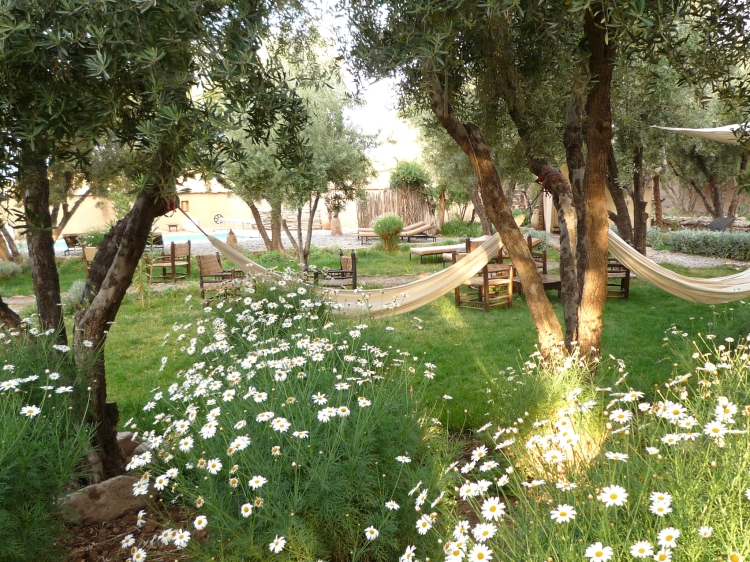 Les Jardins de Skoura Ouarzazate Riad hotel con encanto