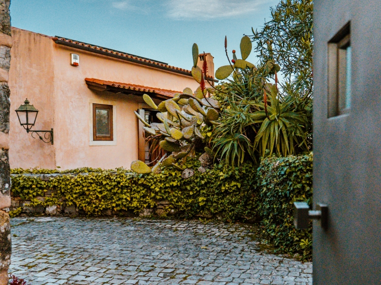 Villa Pedra Natural Houses 