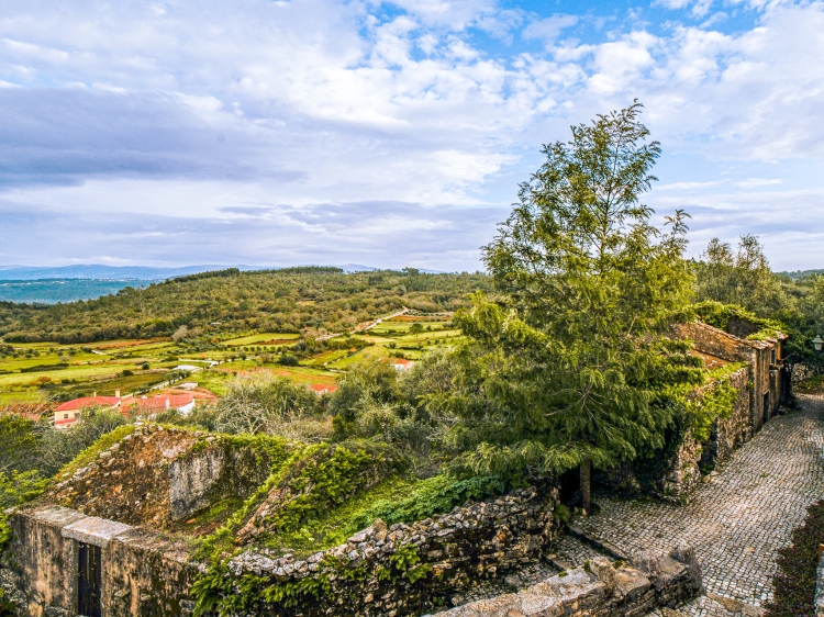 View from the Cherry Tree House - Secretplaces