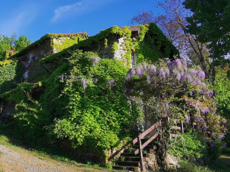 La Traversina, el mejor hotel pequeño y encantador y villas (casas de vacaciones) en Piamonte