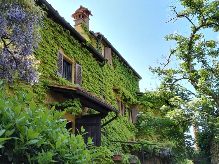 B & B Le Due Volpi l hotel con encanto enVicchio di Mugello Toscana