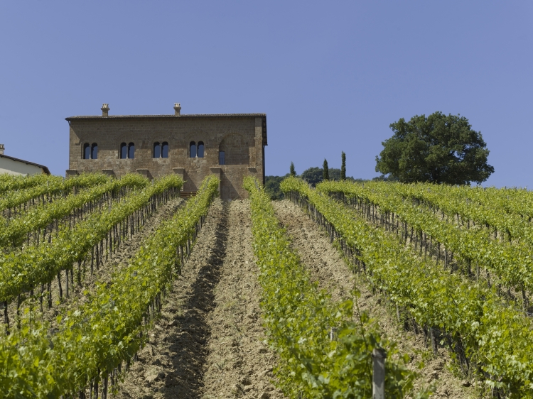  Locanda Palazzone Orvieto Umbria Hotel con encanto parras y viñas