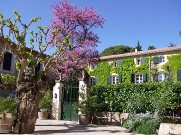Domaine Saint Hilaire - Casa de vacaciones in Pézenas, Languedoc y Rosellón