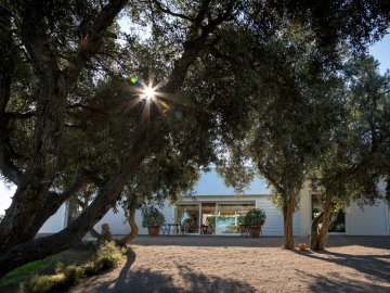 La Valdesa - Casa de vacaciones in Vejer de la Frontera, Cádiz