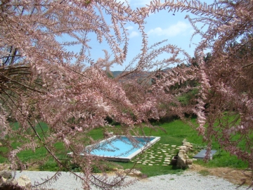 Quinta de Seves - Hotel Rural in Ferro-Covilhã, Costa Central & Beiras