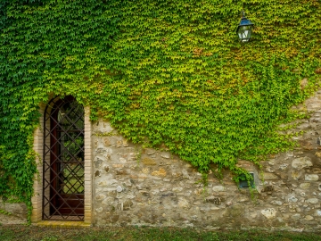 Appartamenti Ginestriccio - Apartamentos con encanto in Bibbona, Toscana
