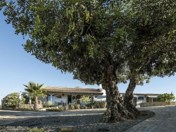 Casa Maya - Casa de vacaciones in São Brás de Alportel, Algarve